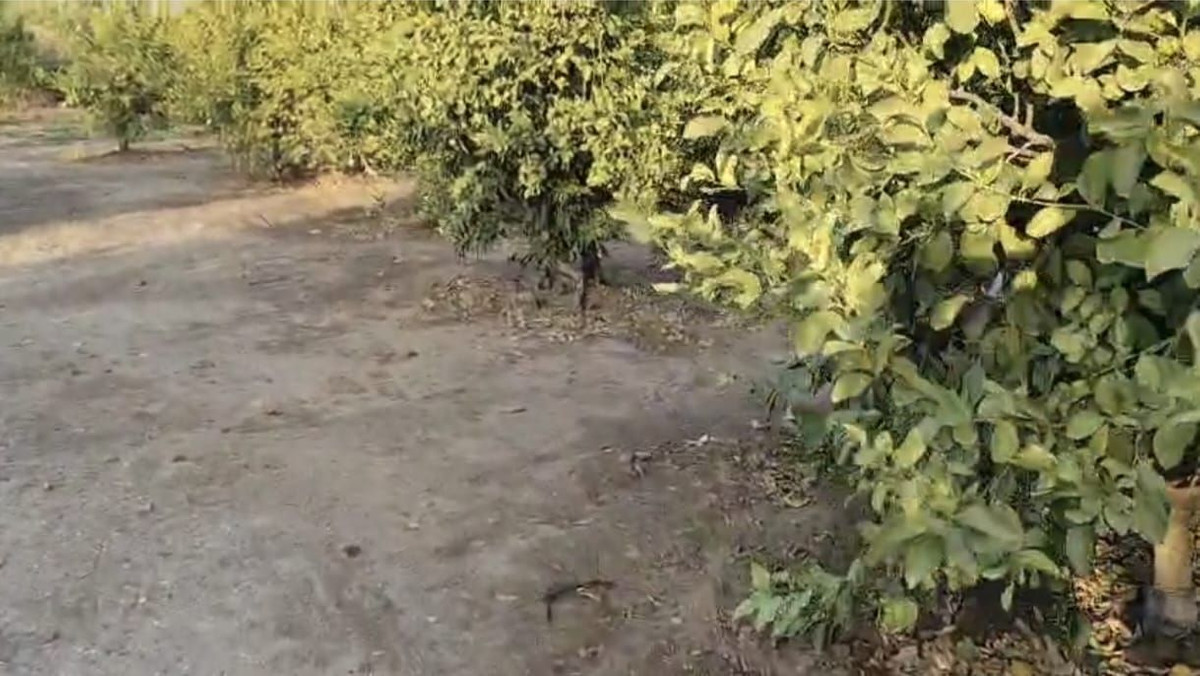 Se vende Terreno Rustico  en Costa Del Sol, Málaga, España
