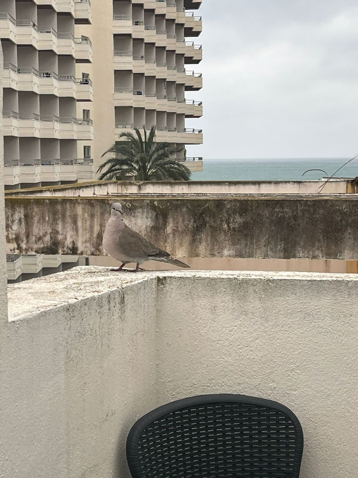 2 Bed Apartment for sale in Bajondillo Costa Del Sol, Málaga, Spain