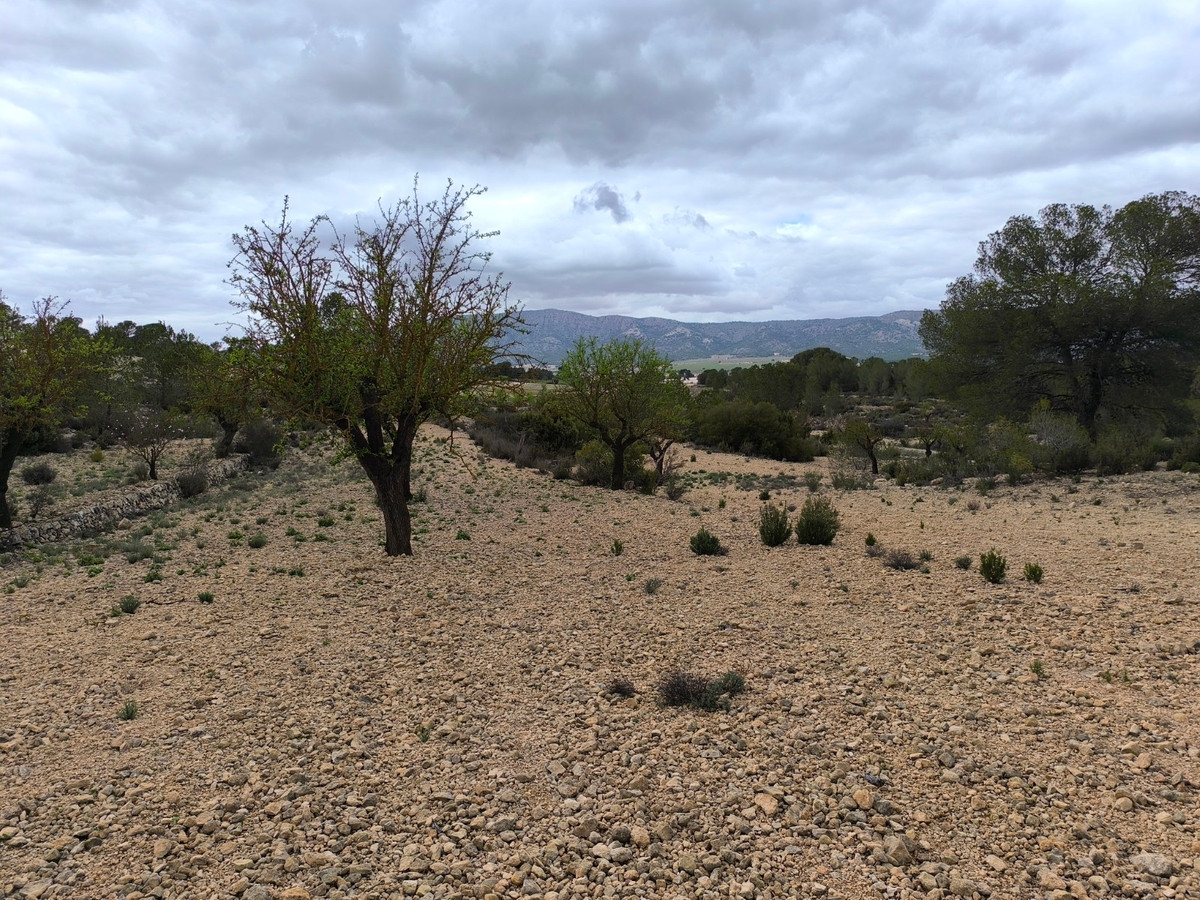 Se vende Terreno Rustico  en Costa Blanca, Alicante, España