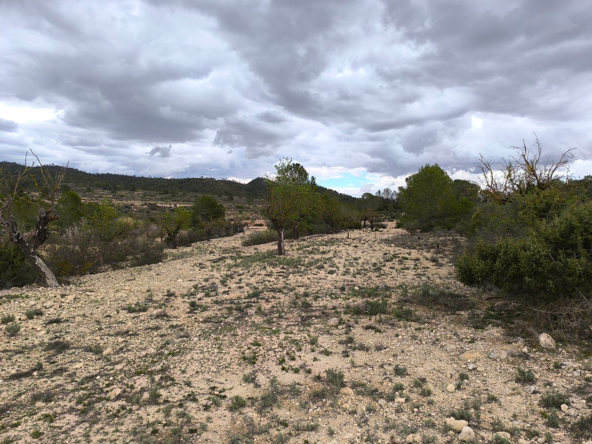 Se vende Terreno Rustico  en Costa Blanca, Alicante, España