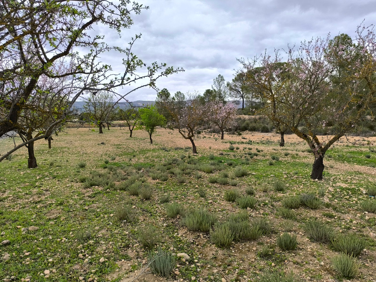 Se vende Terreno Rustico  en Costa Blanca, Alicante, España