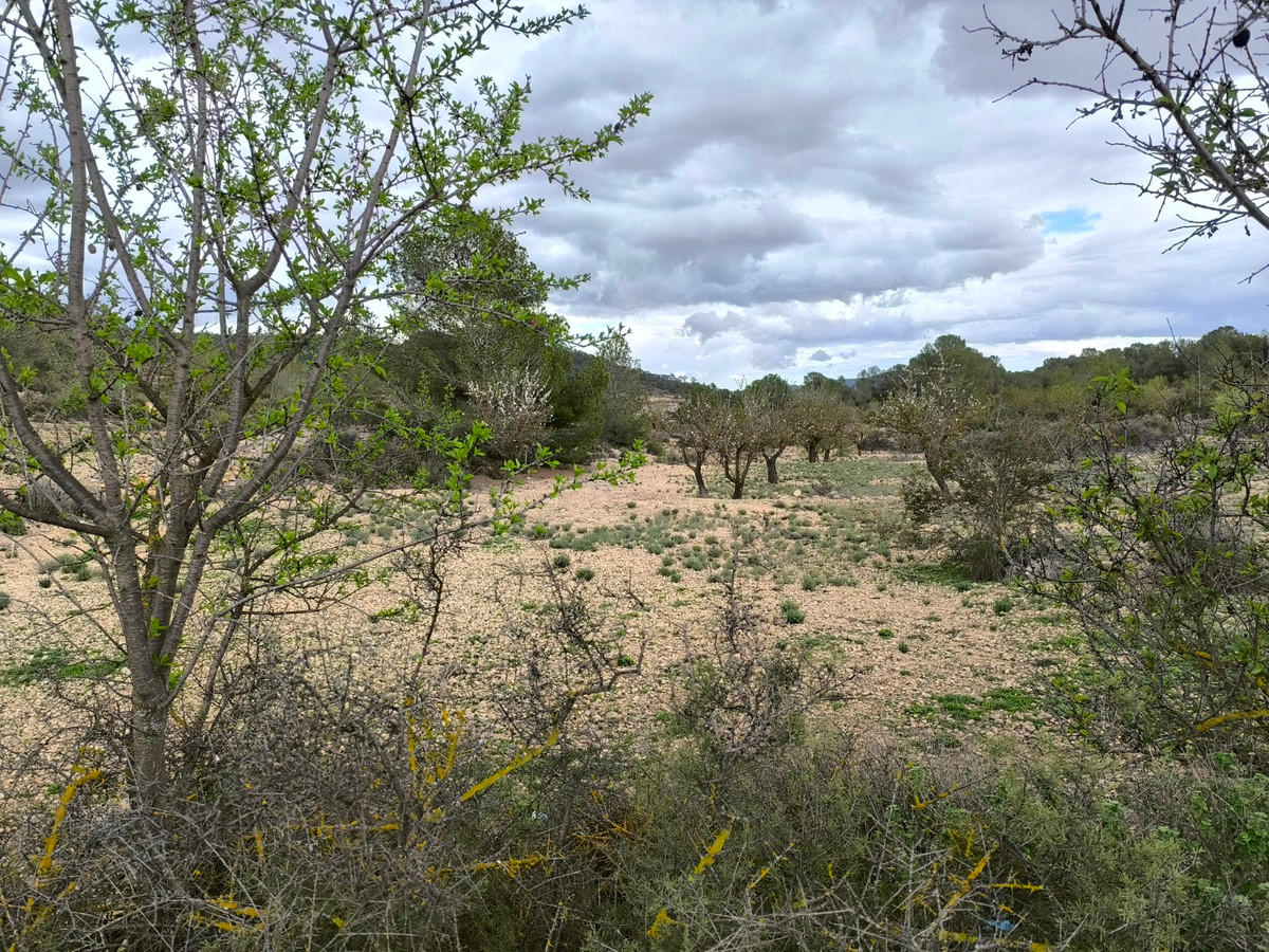 Se vende Terreno Rustico  en Costa Blanca, Alicante, España