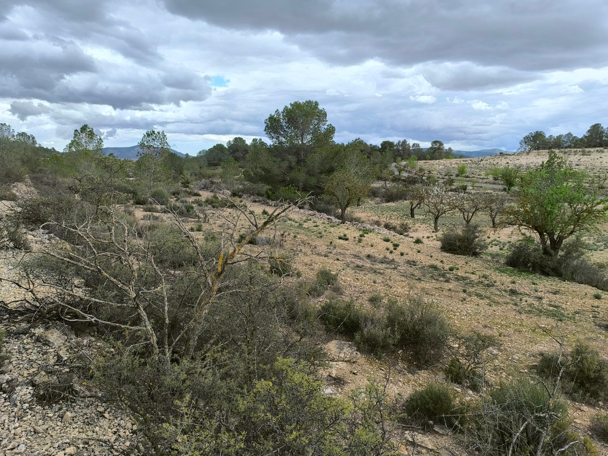 Se vende Terreno Rustico  en Costa Blanca, Alicante, España
