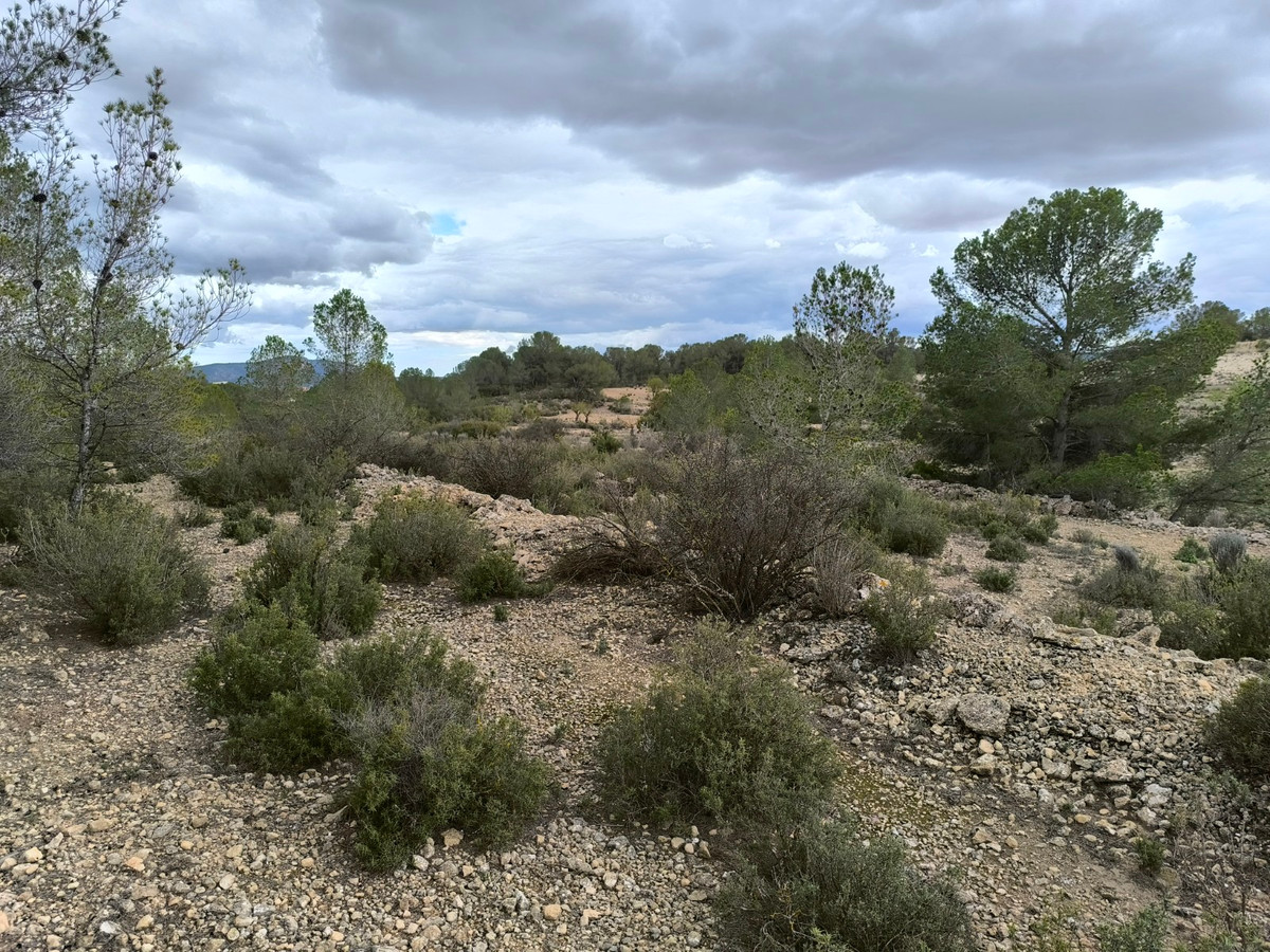 Se vende Terreno Rustico  en Costa Blanca, Alicante, España