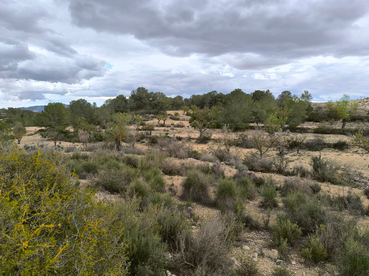 Se vende Terreno Rustico  en Costa Blanca, Alicante, España