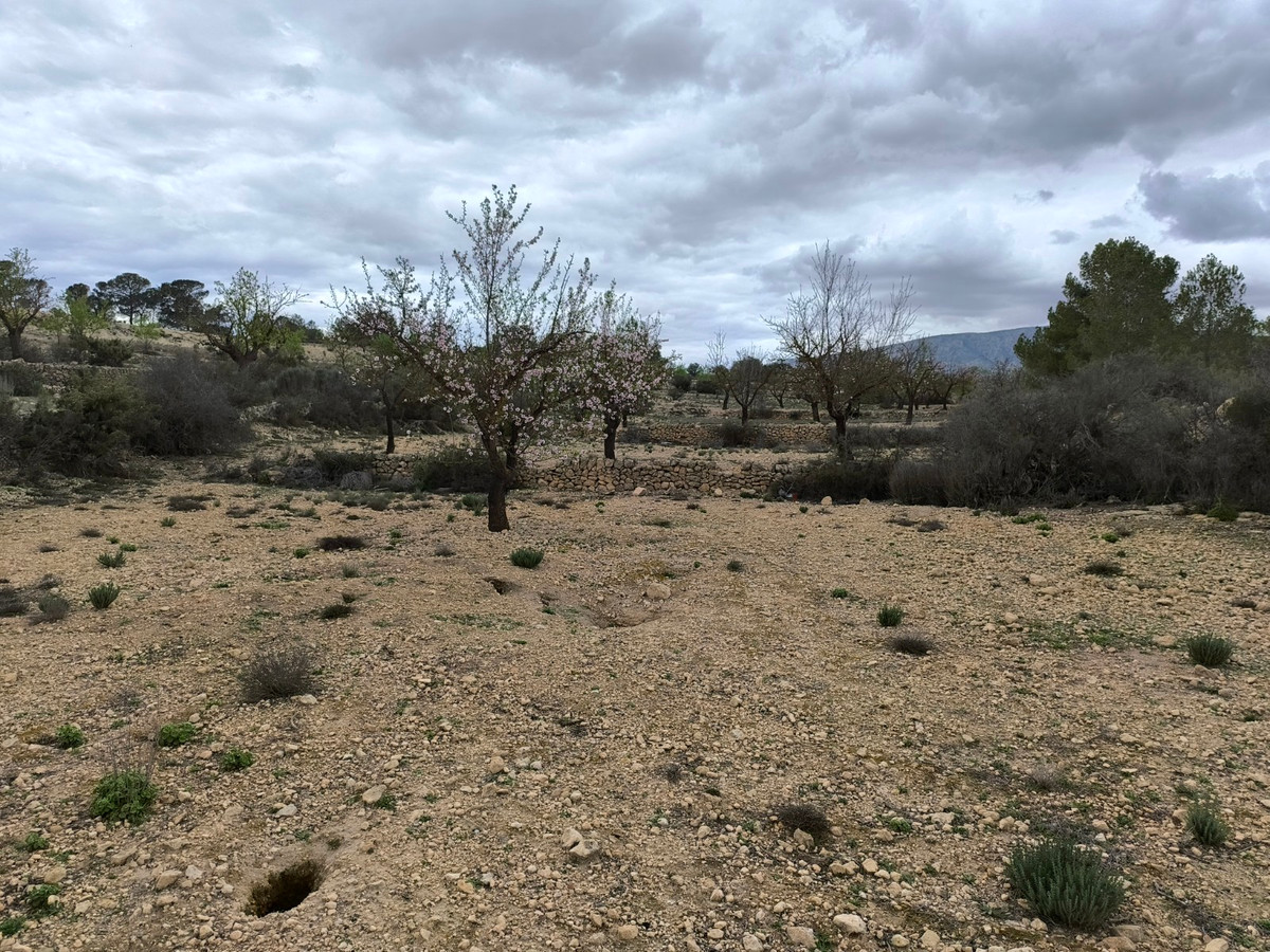 Se vende Terreno Rustico  en Costa Blanca, Alicante, España