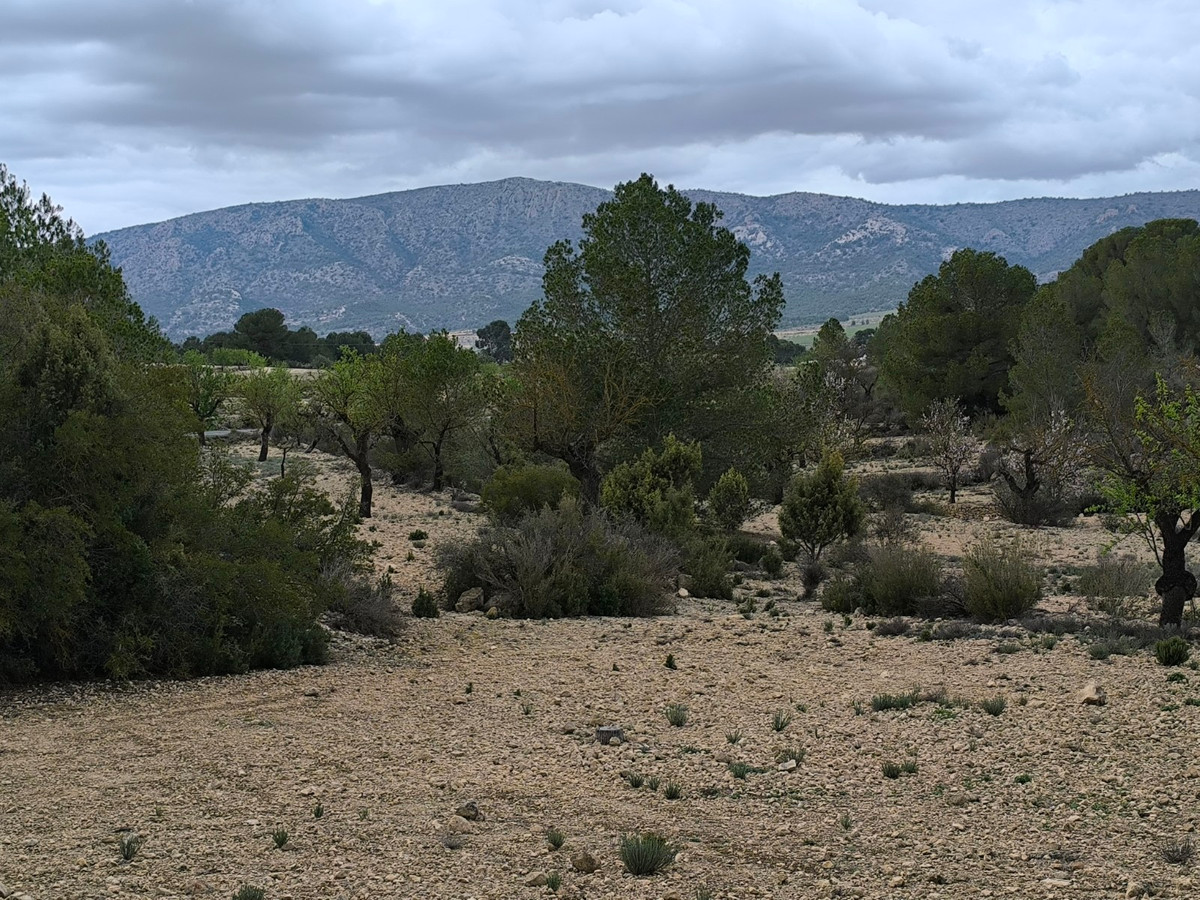 Se vende Terreno Rustico  en Costa Blanca, Alicante, España