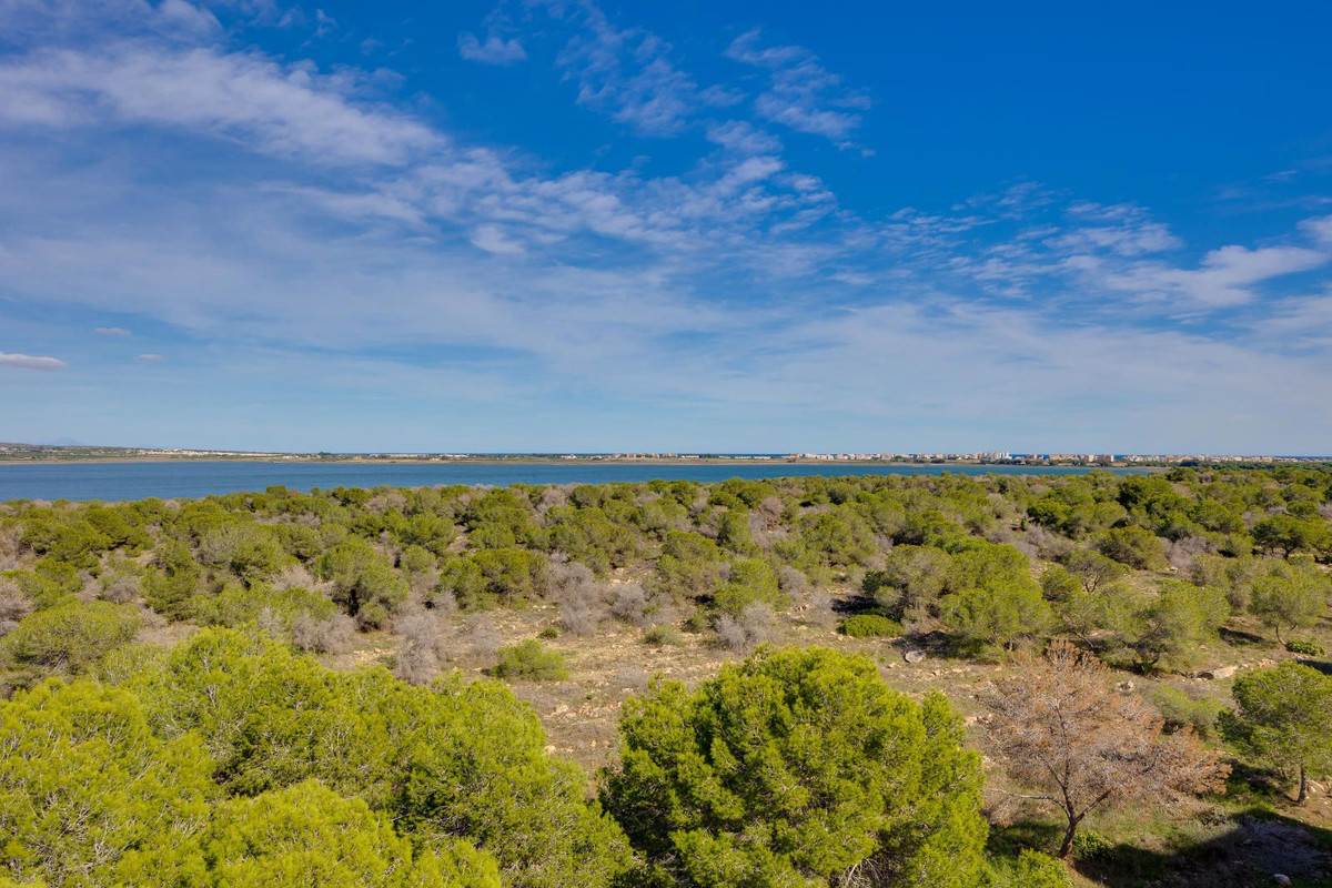 Se vende Apartamento Planta Baja de 3 dormitorios en Costa Blanca, Alicante, España