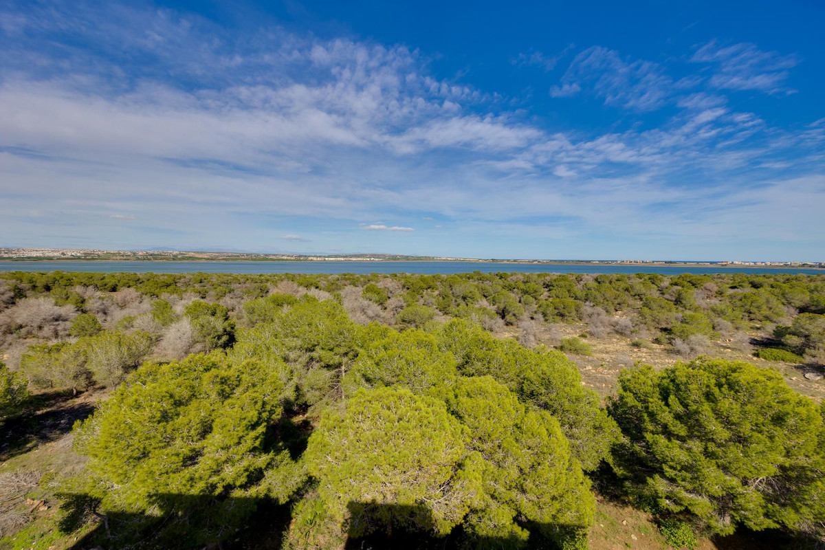 Se vende Apartamento Planta Baja de 3 dormitorios en Costa Blanca, Alicante, España