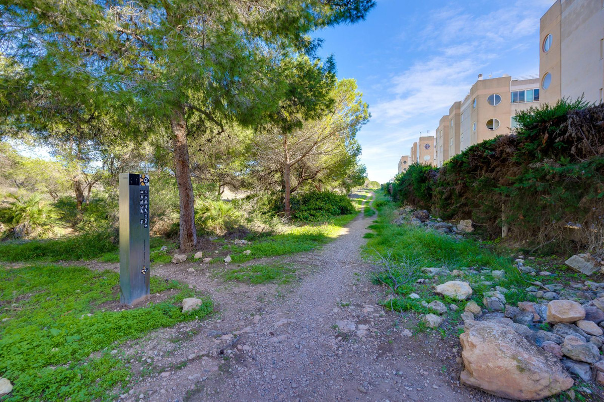 Se vende Apartamento Planta Baja de 3 dormitorios en Costa Blanca, Alicante, España
