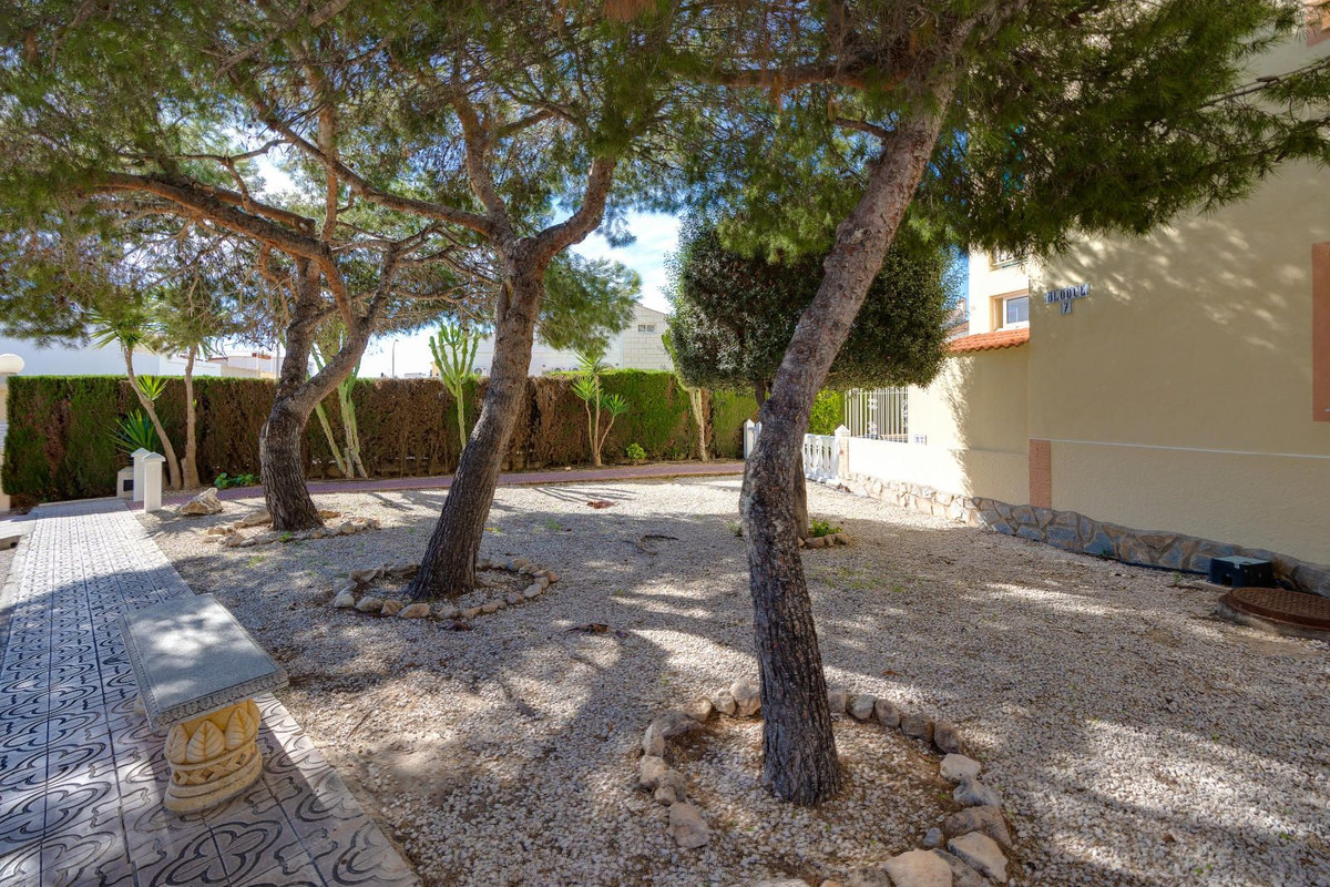 Se vende Apartamento Planta Baja de 3 dormitorios en Costa Blanca, Alicante, España