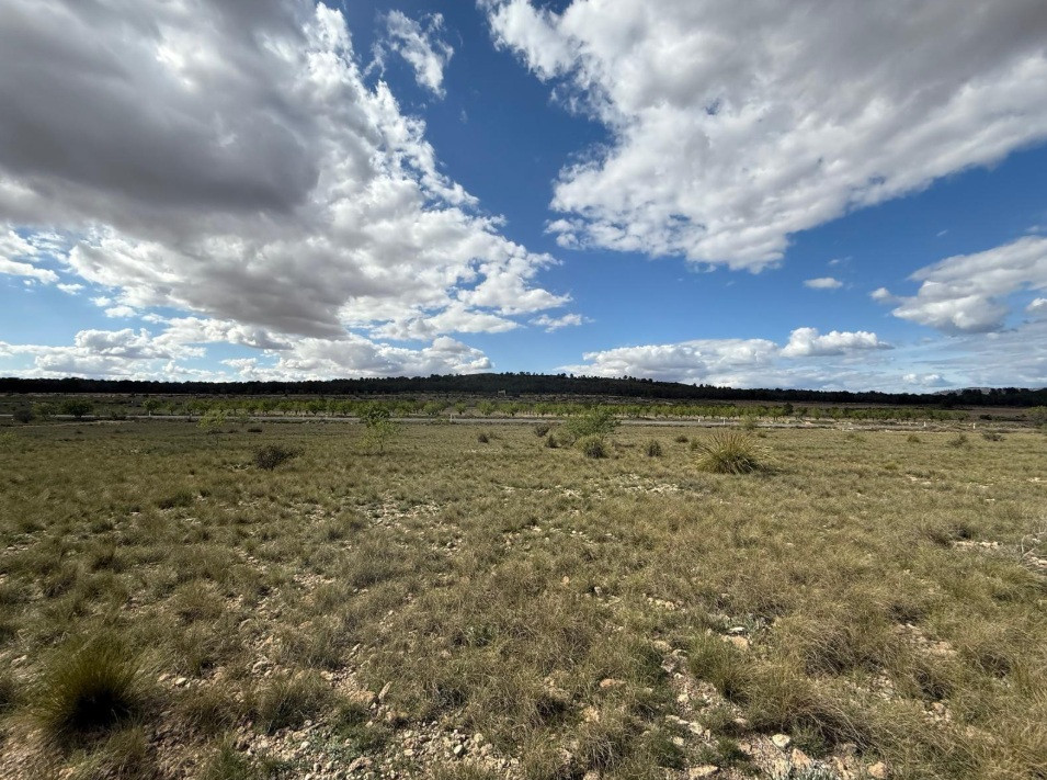 Se vende Terreno Rustico  en Costa Calida, Murcia, España