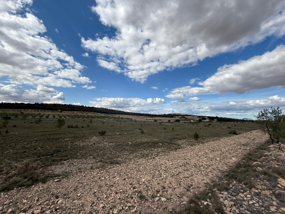 Se vende Terreno Rustico  en Costa Calida, Murcia, España