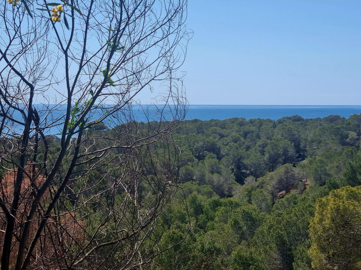 Commercial unit for sale in Altea Costa Blanca, Alicante, Spain