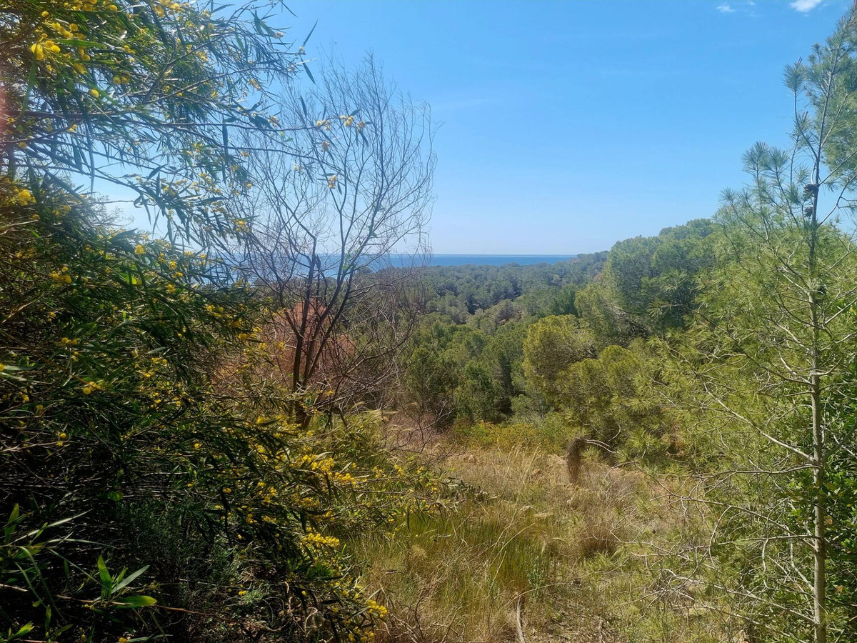 Commercial unit for sale in Altea Costa Blanca, Alicante, Spain