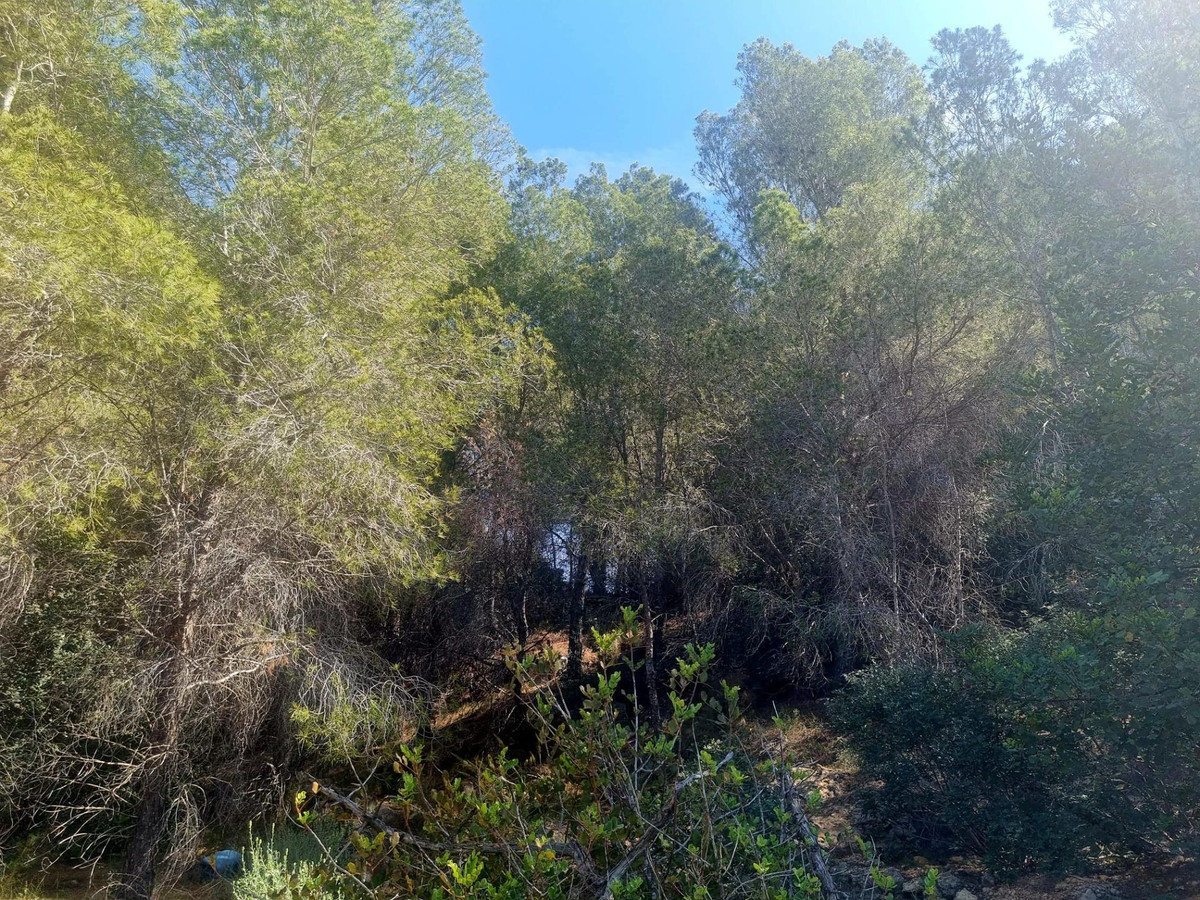 Commercial unit for sale in Altea Costa Blanca, Alicante, Spain