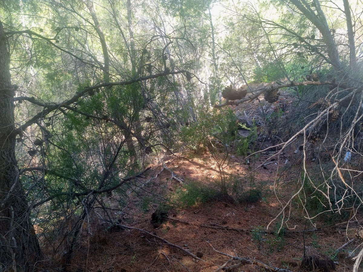 Commercial unit for sale in Altea Costa Blanca, Alicante, Spain