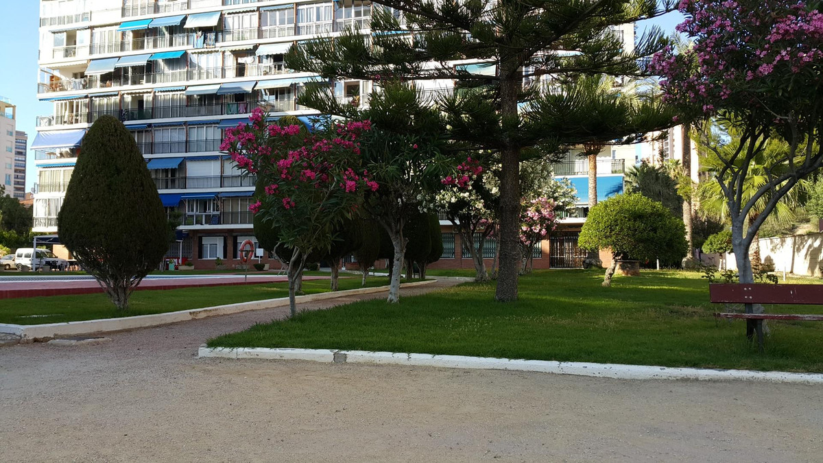Se vende Estudio Planta Media de 1 dormitorios en Costa Blanca, Alicante, España
