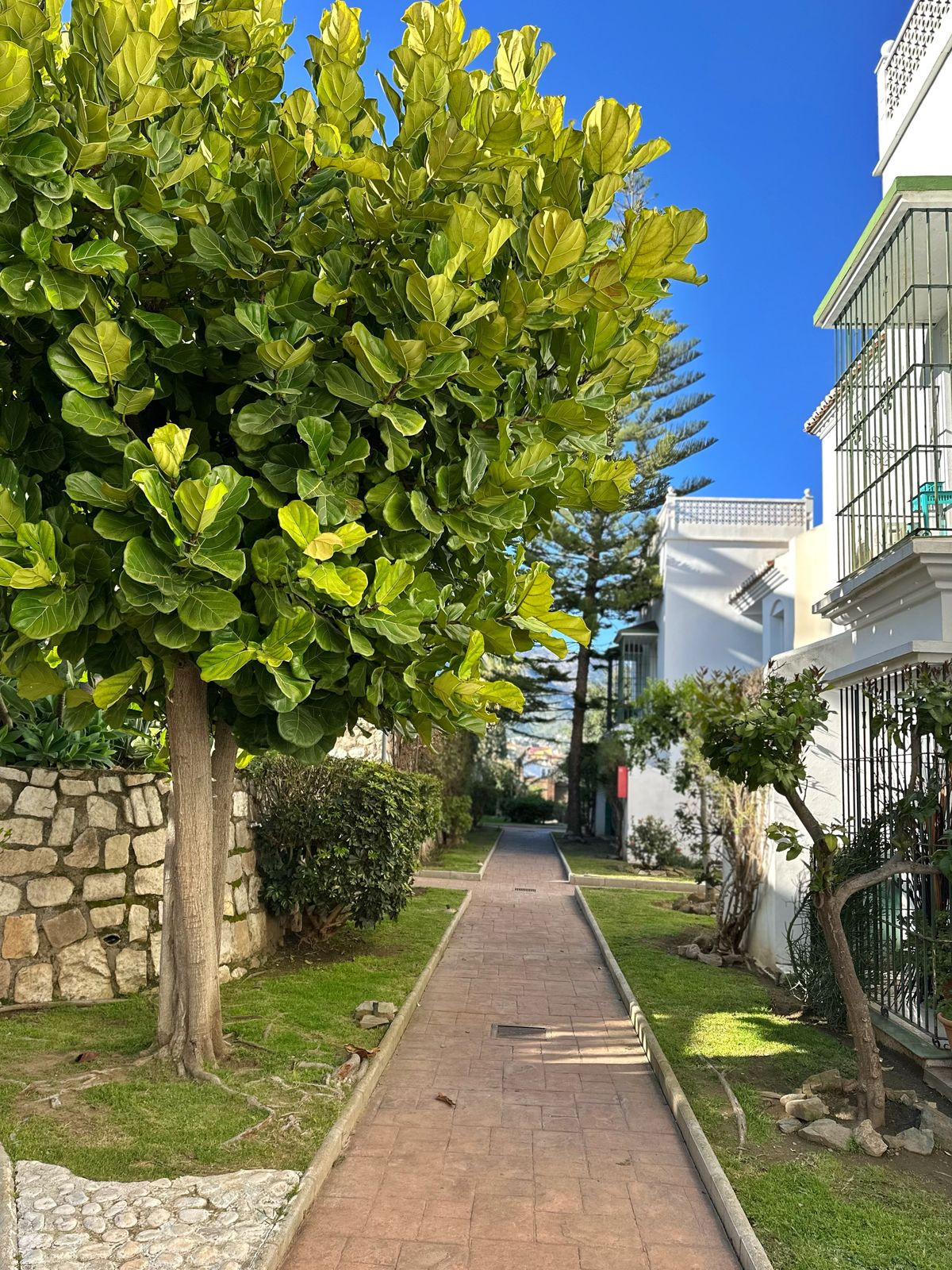 Se vende Apartamento Planta Baja de 4 dormitorios en Costa Del Sol, Málaga, España