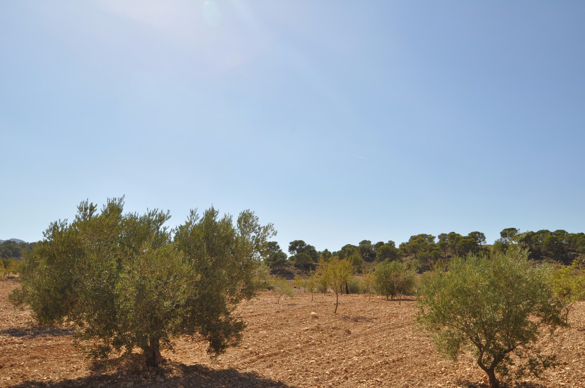 Se vende Terreno Rustico  en Costa Calida, Murcia, España