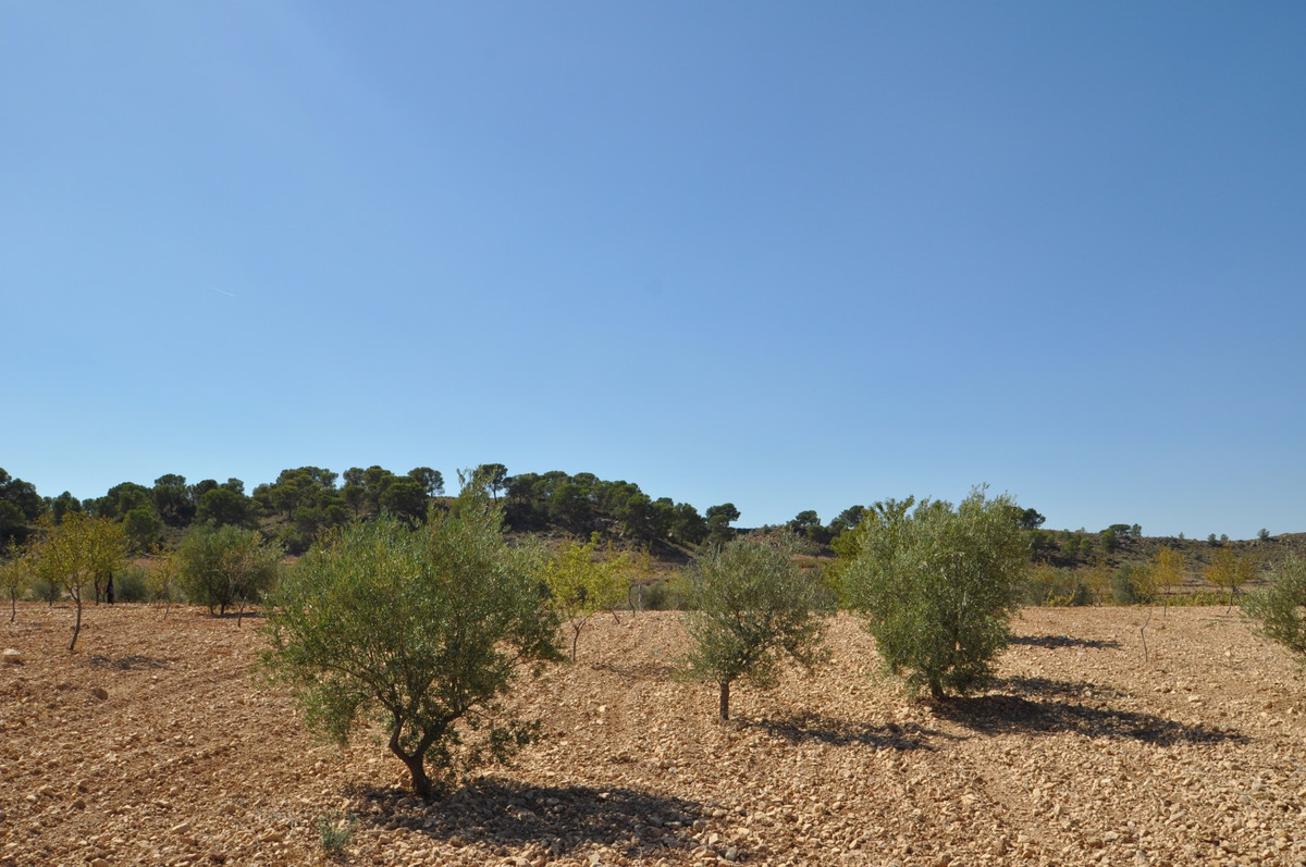 Se vende Terreno Rustico  en Costa Calida, Murcia, España