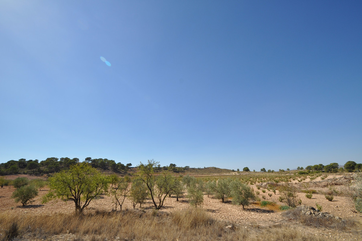 Se vende Terreno Rustico  en Costa Calida, Murcia, España