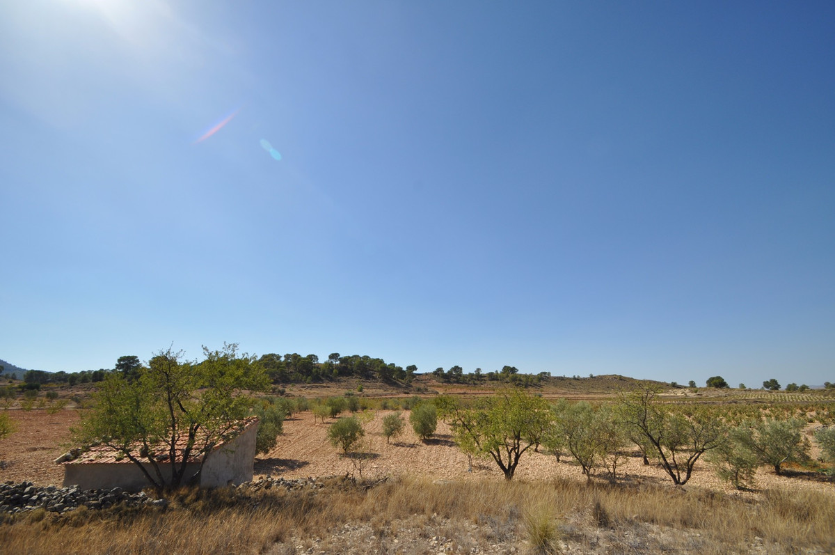 Se vende Terreno Rustico  en Costa Calida, Murcia, España