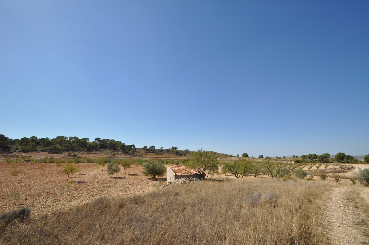 Se vende Terreno Rustico  en Costa Calida, Murcia, España