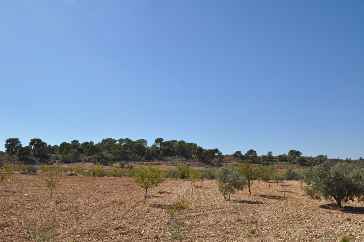 Se vende Terreno Rustico  en Costa Calida, Murcia, España