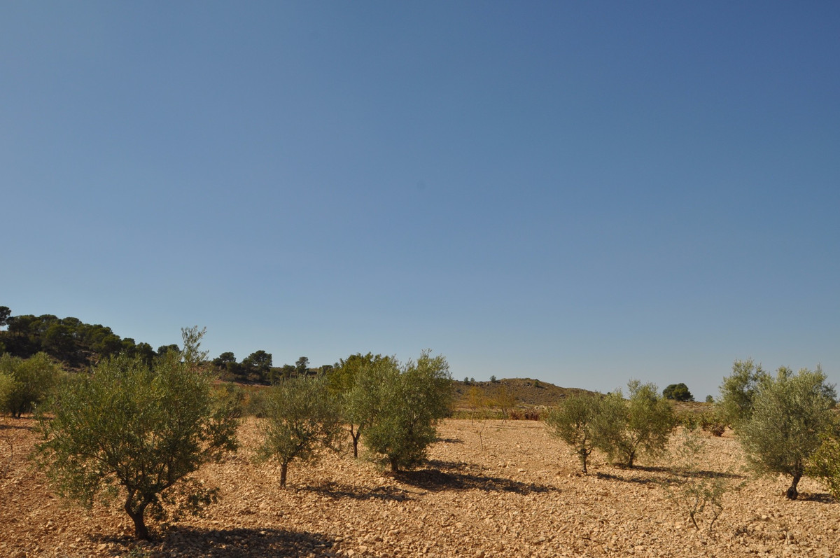 Se vende Terreno Rustico  en Costa Calida, Murcia, España