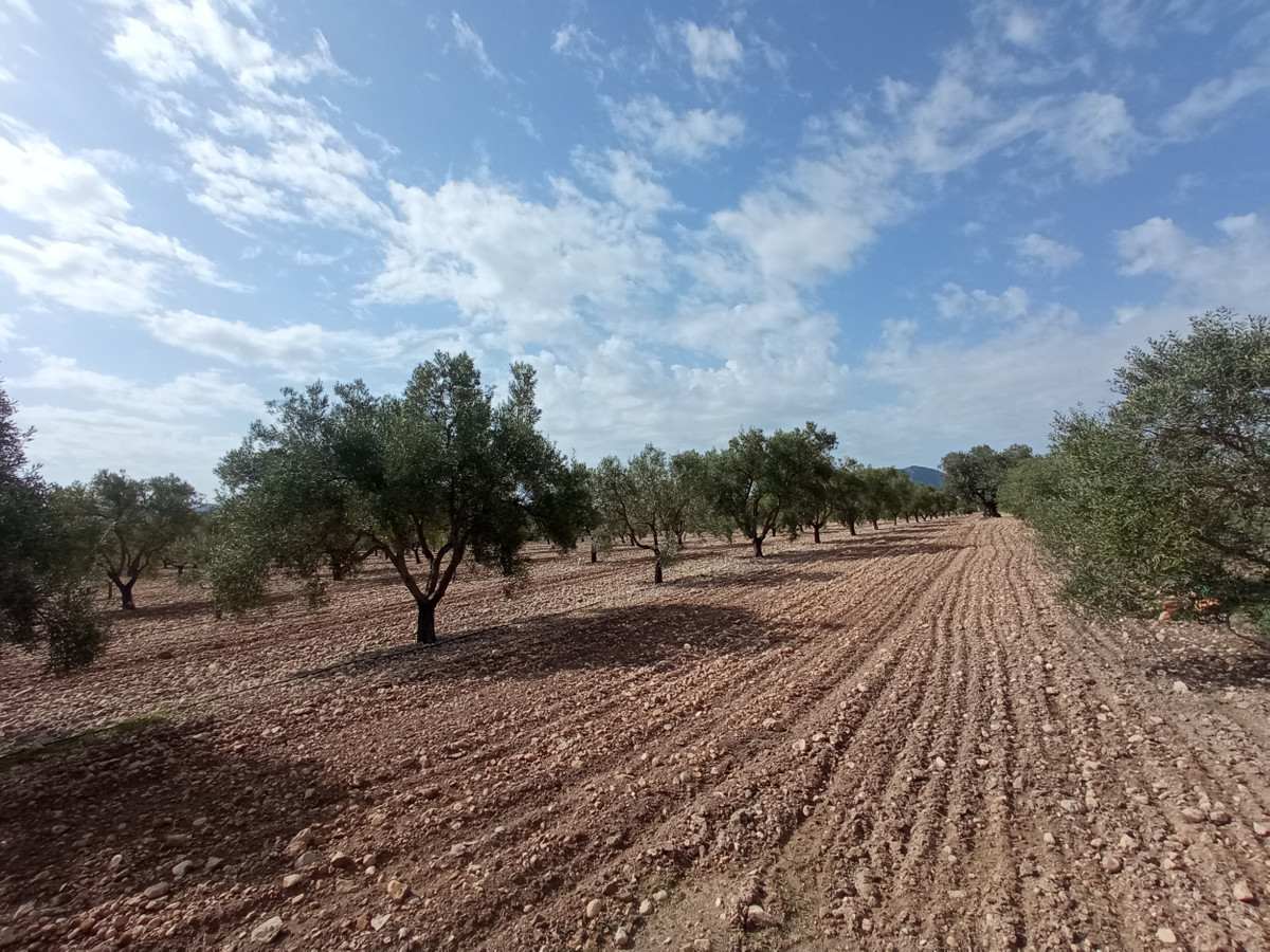 Se vende Terreno Urbano  en Costa Blanca, Alicante, España