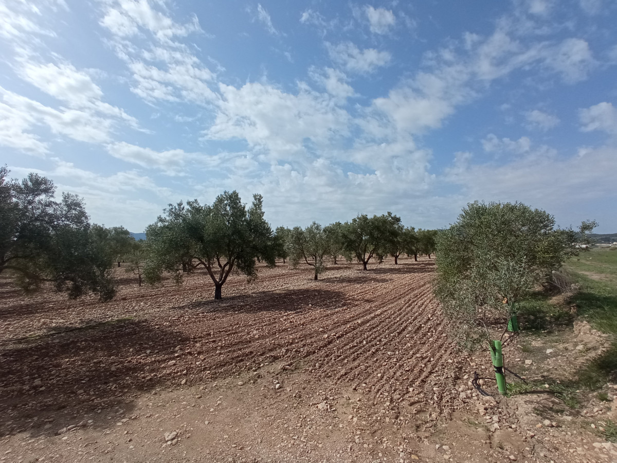 Se vende Terreno Urbano  en Costa Blanca, Alicante, España