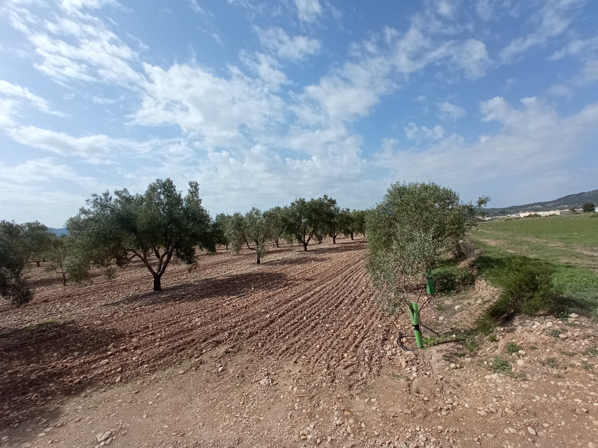 Se vende Terreno Urbano  en Costa Blanca, Alicante, España