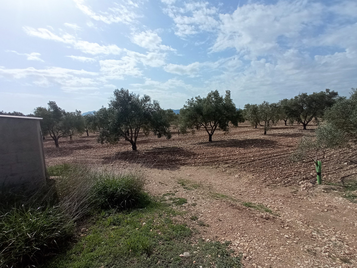 Se vende Terreno Urbano  en Costa Blanca, Alicante, España