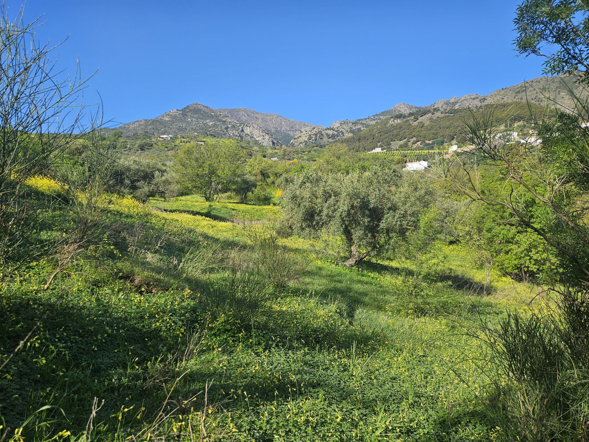 Se vende Terreno Rustico  en Costa Del Sol, Málaga, España