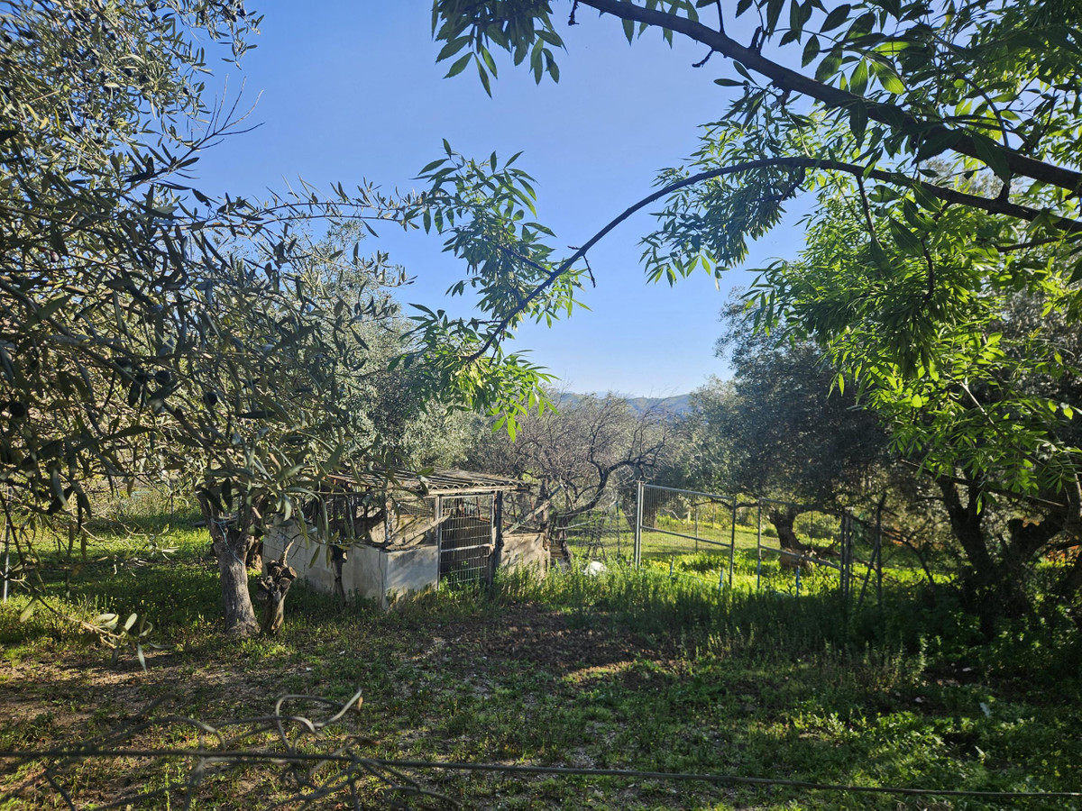 Se vende Terreno Rustico  en Costa Del Sol, Málaga, España