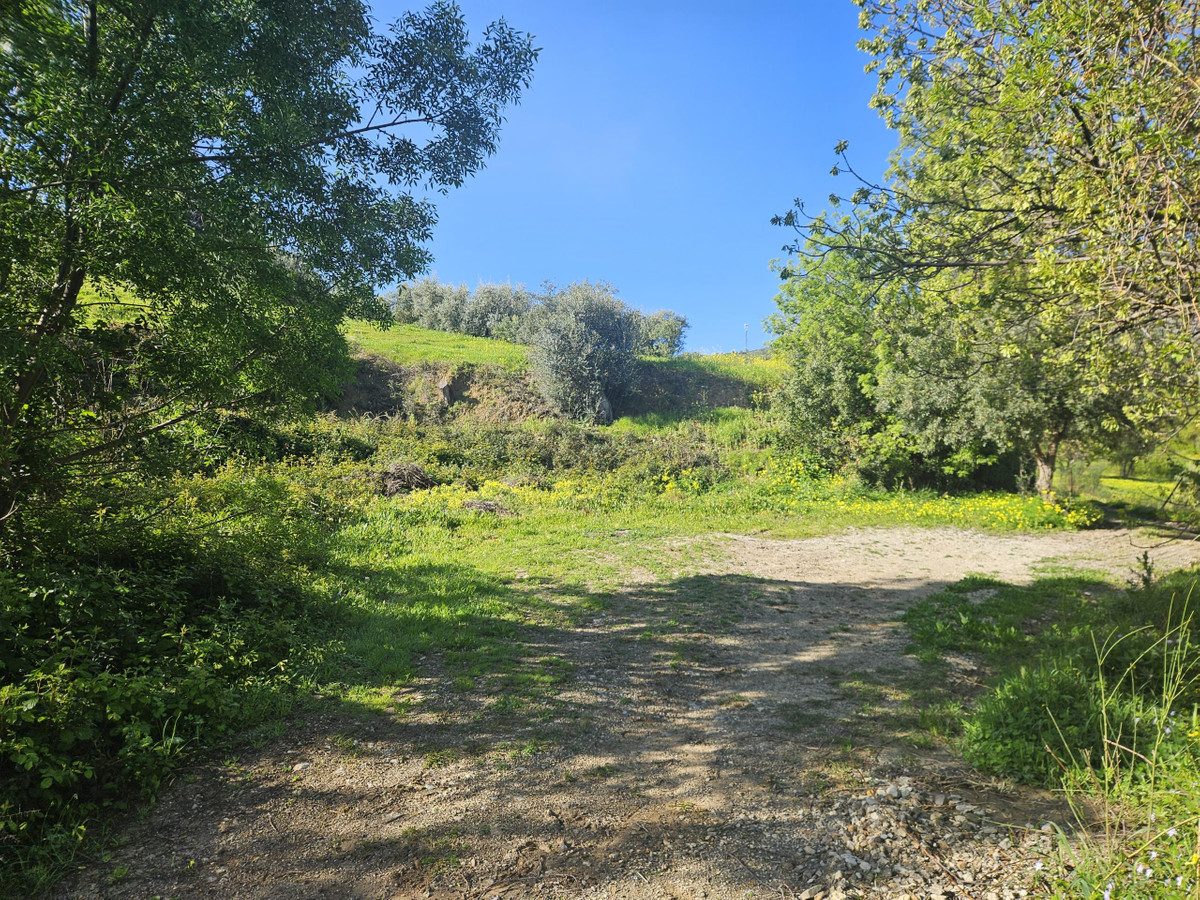 Se vende Terreno Rustico  en Costa Del Sol, Málaga, España