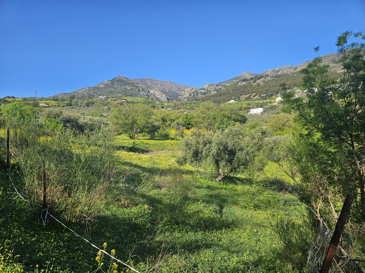 Se vende Terreno Rustico  en Costa Del Sol, Málaga, España