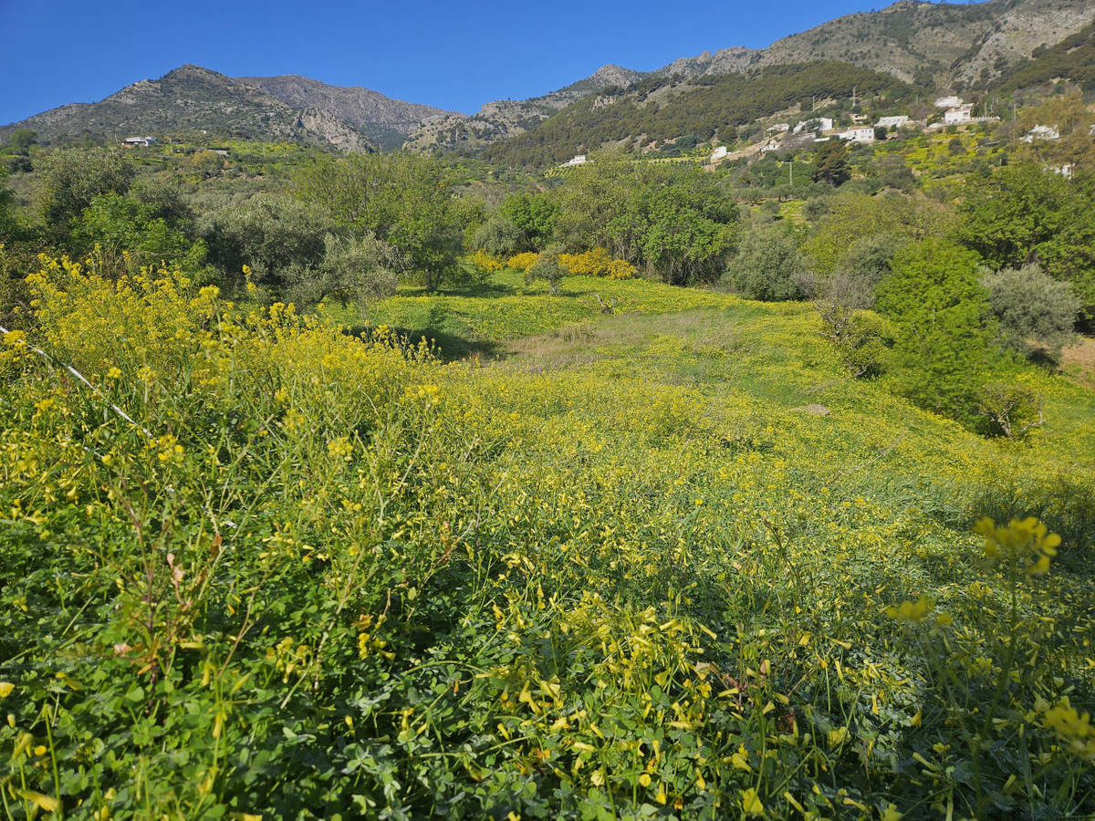 Se vende Terreno Rustico  en Costa Del Sol, Málaga, España