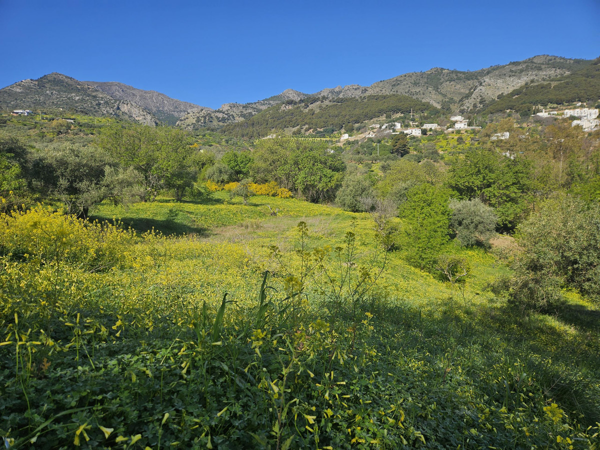 Se vende Terreno Rustico  en Costa Del Sol, Málaga, España