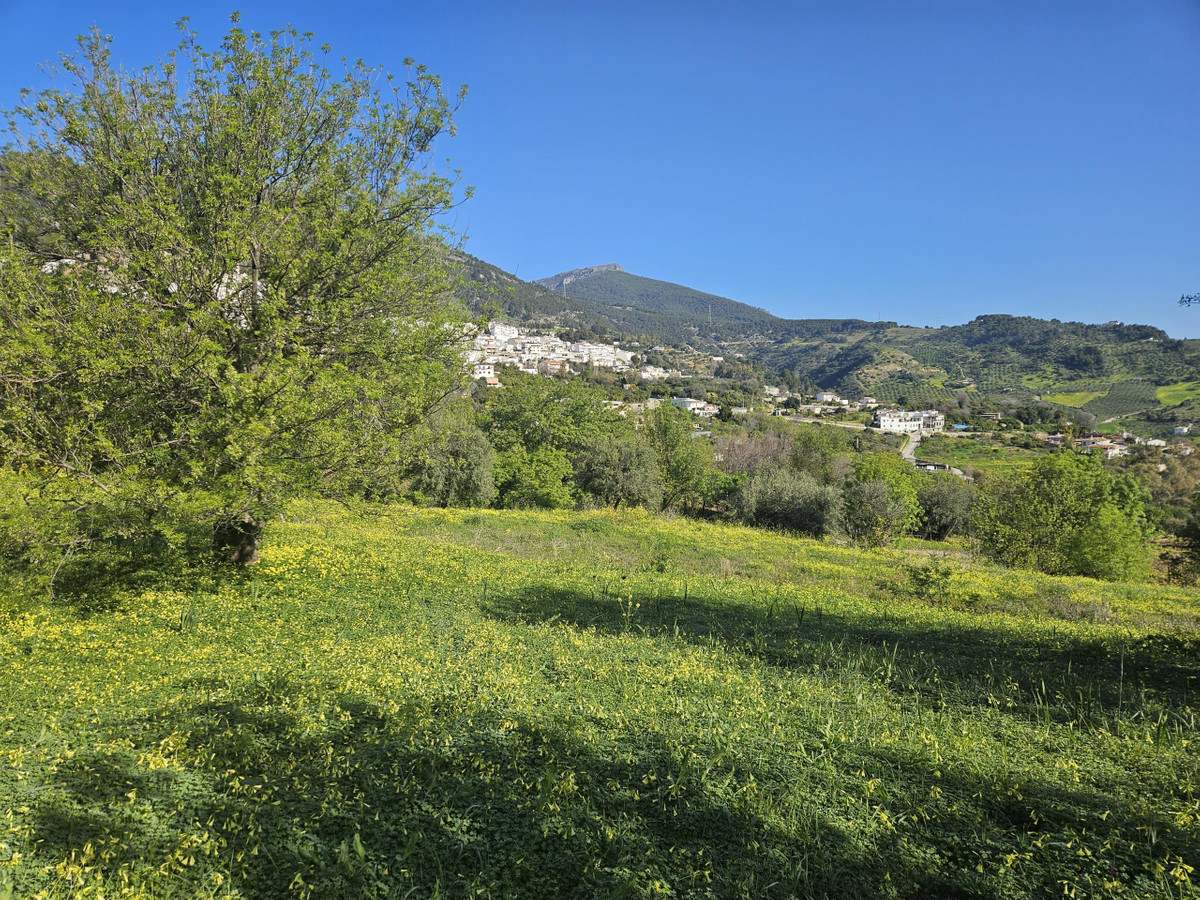 Se vende Terreno Rustico  en Costa Del Sol, Málaga, España
