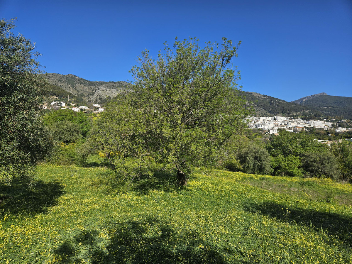 Se vende Terreno Rustico  en Costa Del Sol, Málaga, España