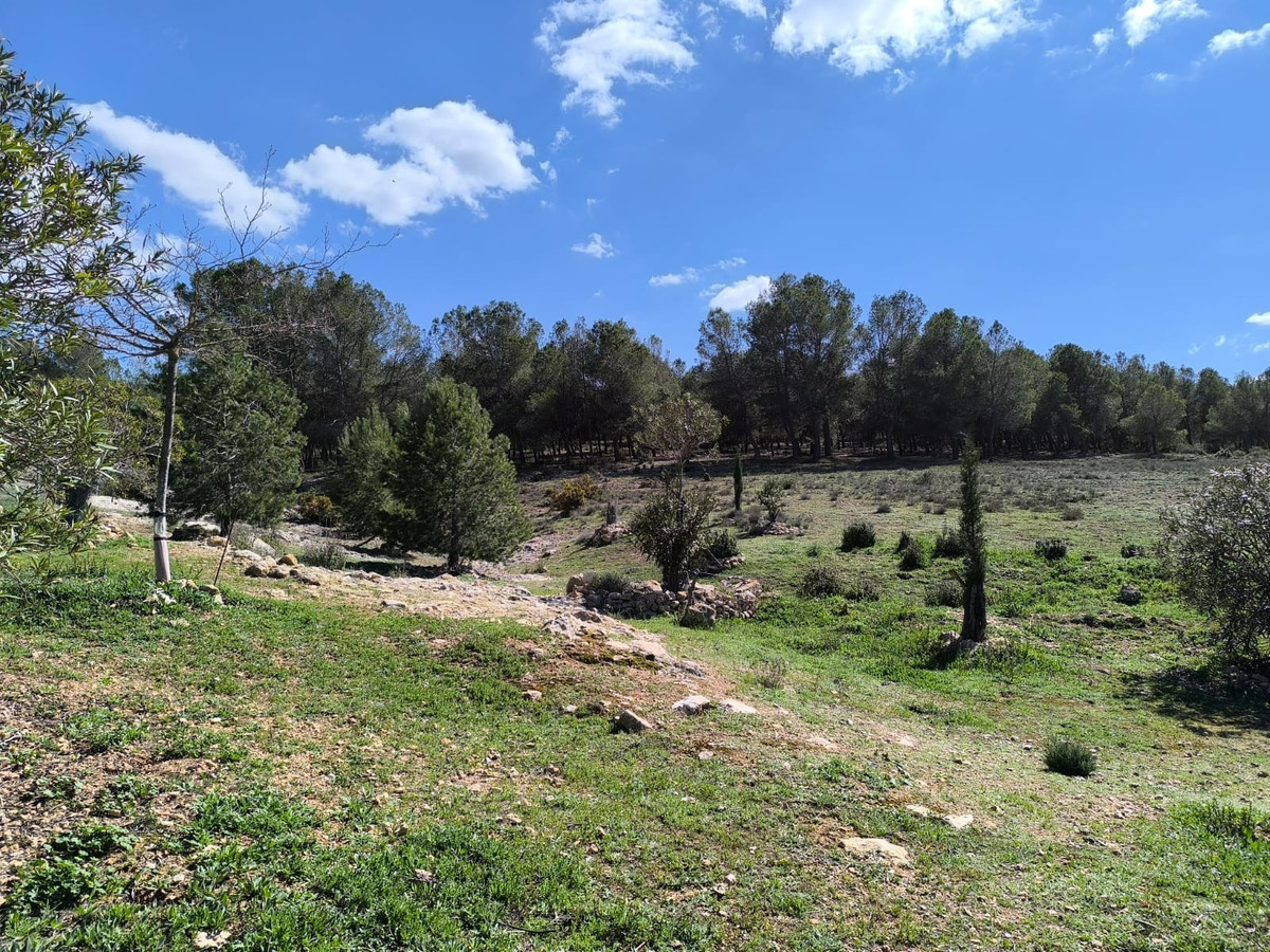 Se vende Finca - Cortijo de 4 dormitorios en Costa Blanca, Alicante, España