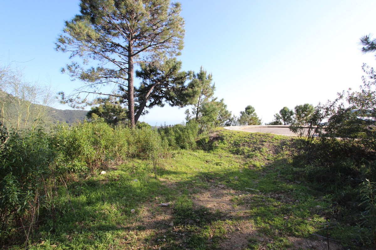 Plots for sale in Benahavís Costa Del Sol, Málaga, Spain