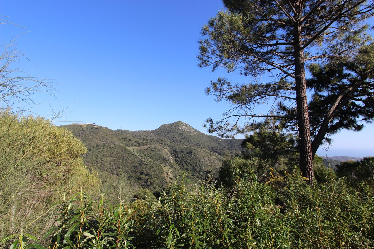 Plots for sale in Benahavís Costa Del Sol, Málaga, Spain