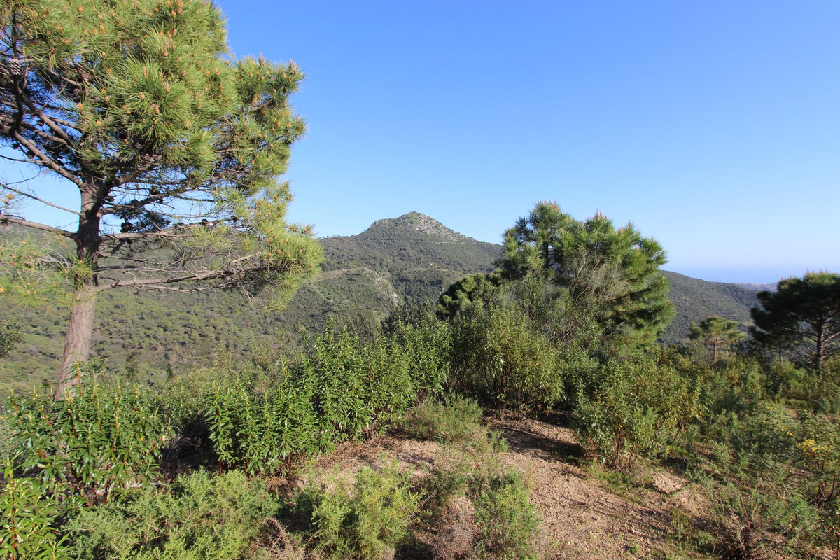 Plots for sale in Benahavís Costa Del Sol, Málaga, Spain