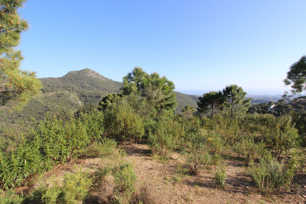 Plots for sale in Benahavís Costa Del Sol, Málaga, Spain