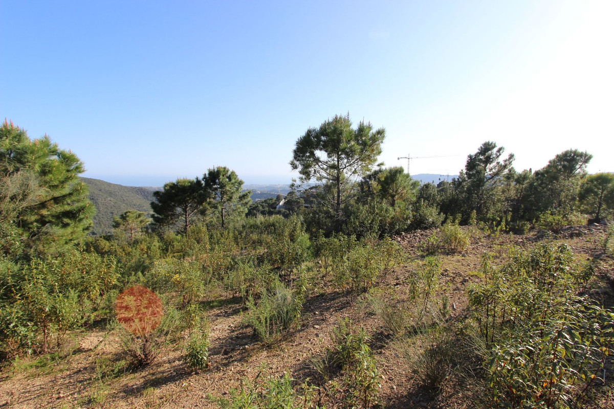Plots for sale in Benahavís Costa Del Sol, Málaga, Spain