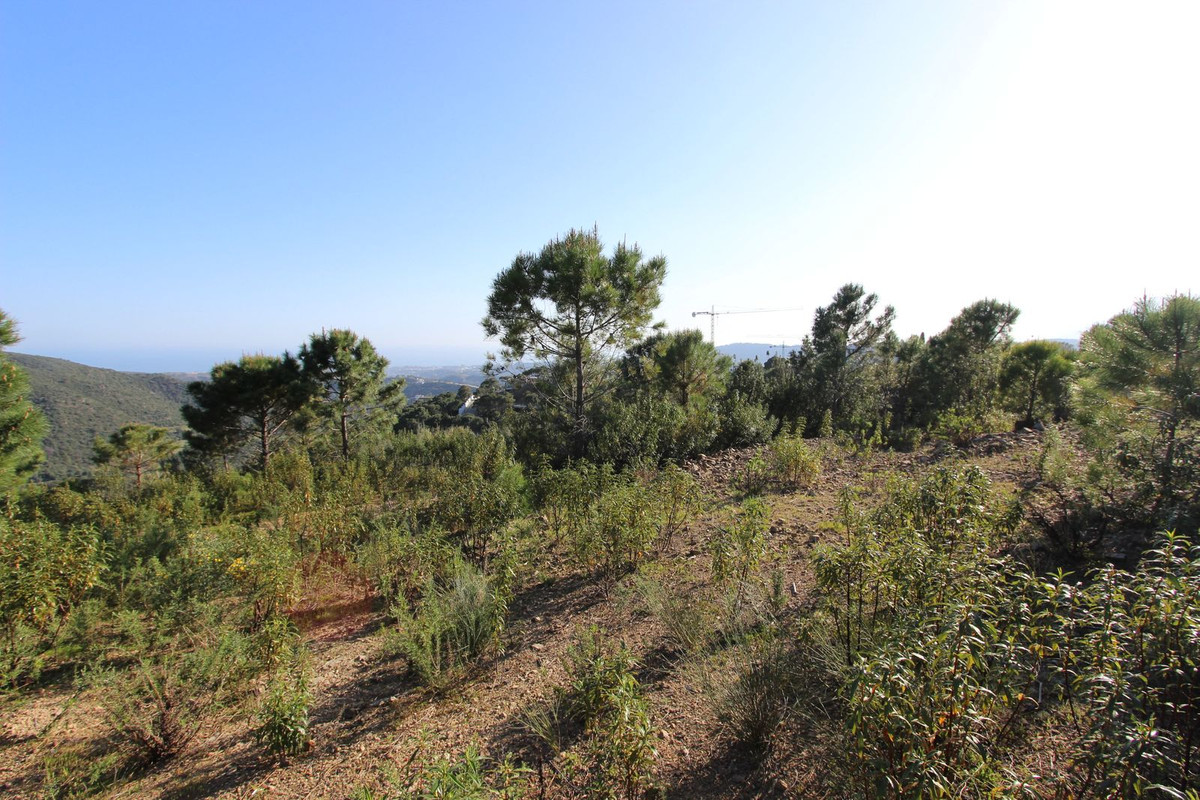 Plots for sale in Benahavís Costa Del Sol, Málaga, Spain