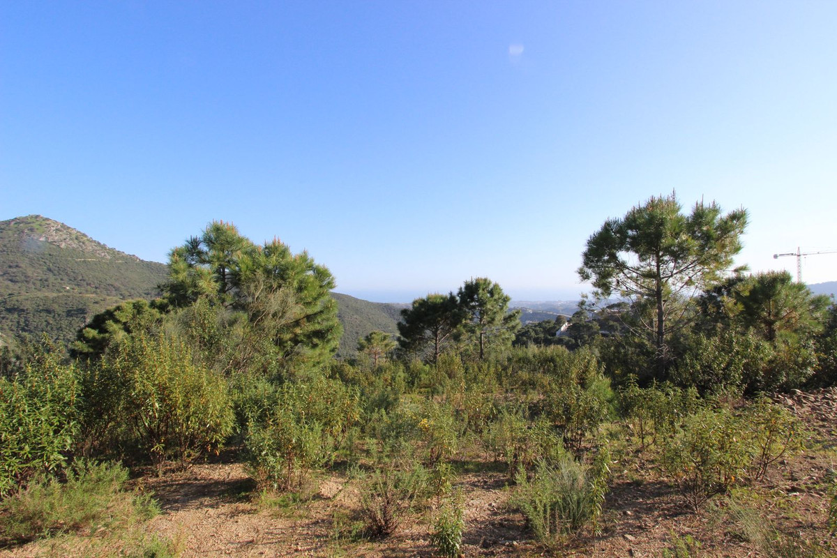 Plots for sale in Benahavís Costa Del Sol, Málaga, Spain